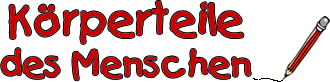 K&ouml;rperteile