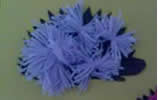 Bunte Igel