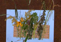Webbild mit Naturmaterialien