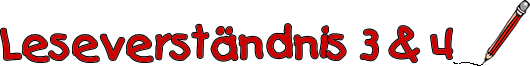 Leseverständnis 3