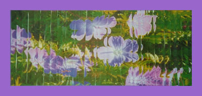 Zerrbild