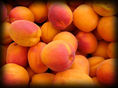 apricots