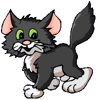 Kater