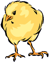 K&uuml;ken