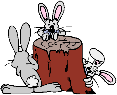 Egg and rabbit